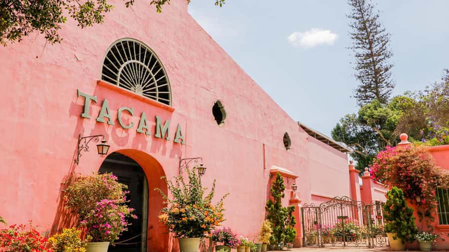 Ica: Winery Tour with Pisco and Wine Tasting - Buying bottles and local products