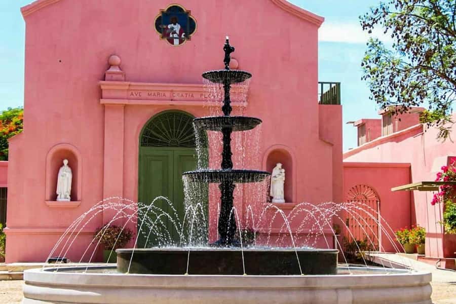 Ica: Winery Tour with Pisco and Wine Tasting - Timing, transport, and comfort