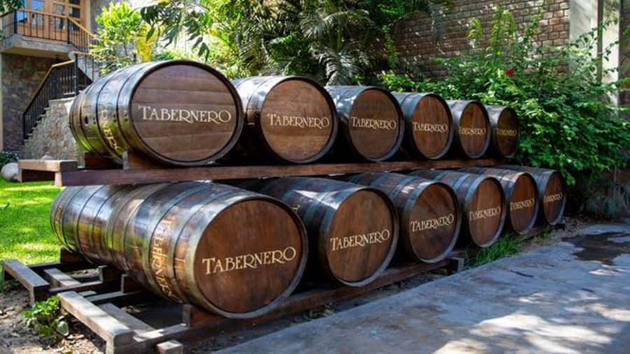 Ica: Winery Tour with Pisco and Wine Tasting - El Catador Winery: start with Pisco culture