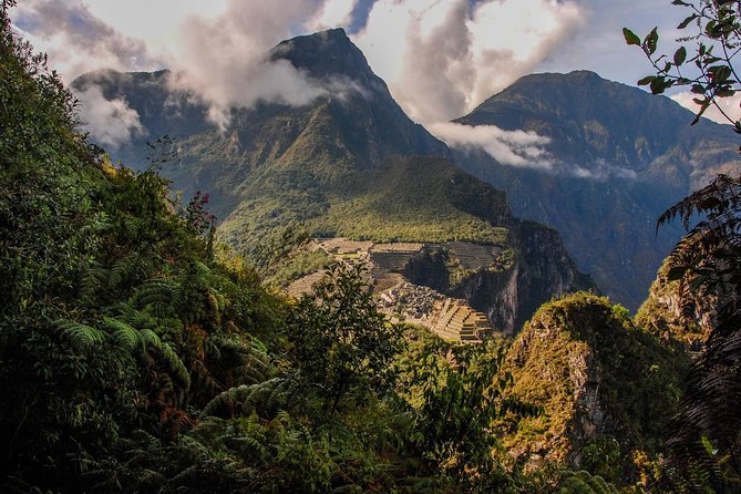 Inca Jungle Premium to Machu Picchu 4-Day and 3-Nights - Accommodation, meals, and group size