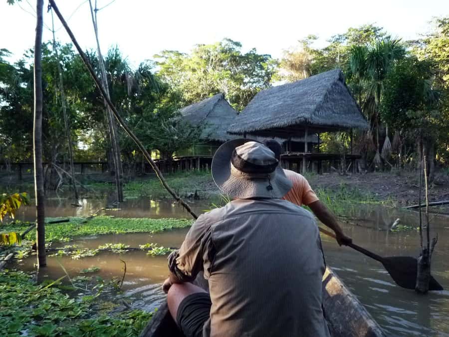 Iquitos: 2 Days and 1 Night Guided Amazon Jungle Tour - Key Details Before You Go
