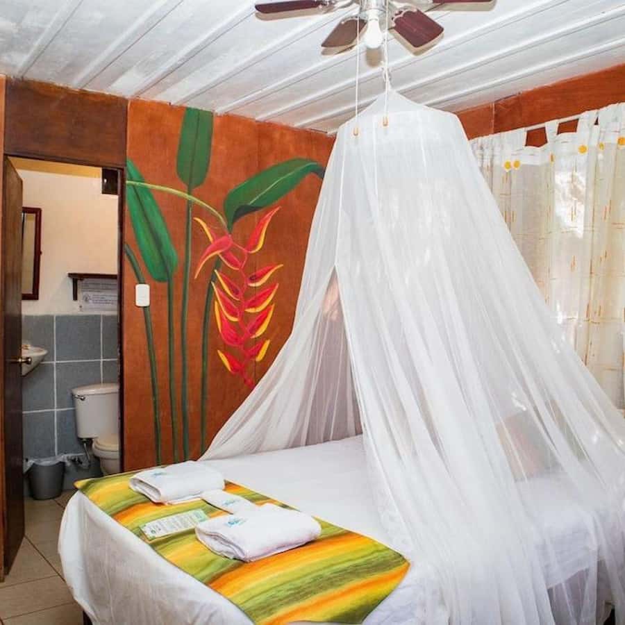 Iquitos: 2 Days and 1 Night Guided Amazon Jungle Tour - Canoeing With a Local Guide
