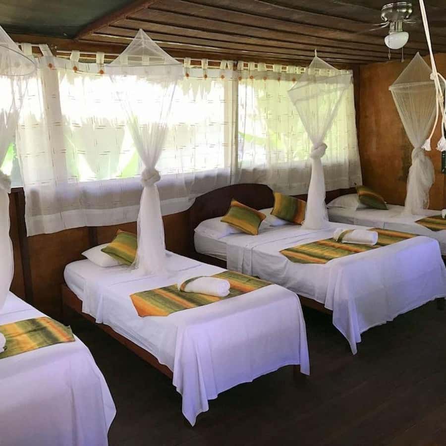 Iquitos: 2 Days and 1 Night Guided Amazon Jungle Tour - Night Sounds and Small Creatures
