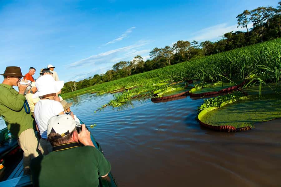 Iquitos: 3 Days and 2 Nights Guided Amazon Jungle Tour - Ziplining, bridges, climbing, and a 25-meter rappel