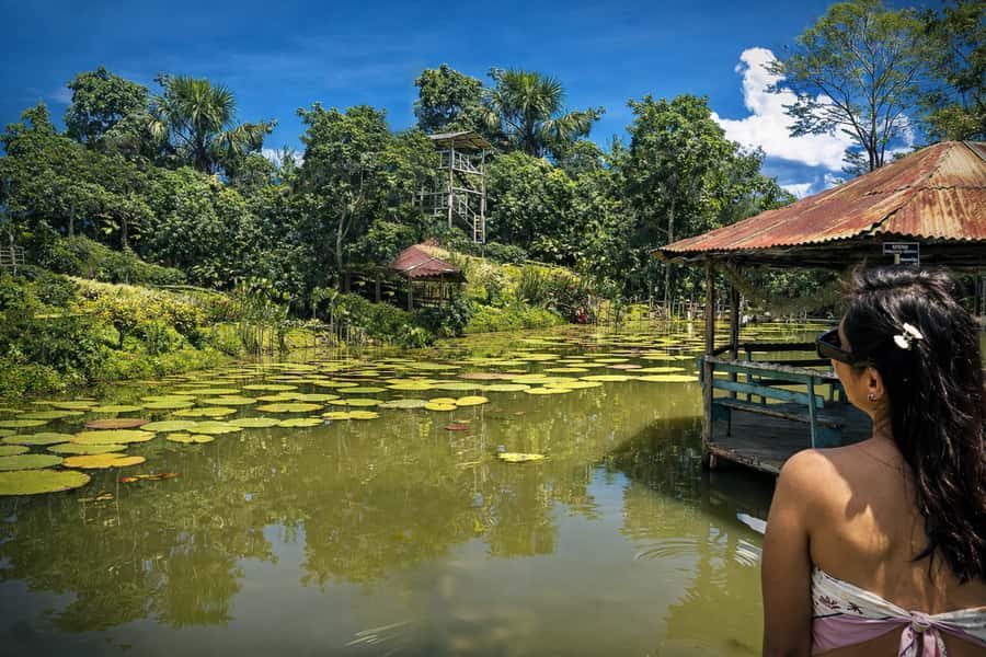 Iquitos: 6-Hour Wonderful Wildlife Guided Tour - Who should choose this six-hour Amazon tour?