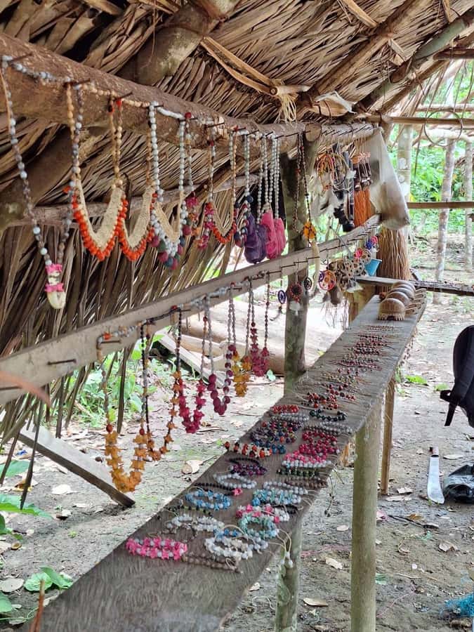 Iquitos: Amazon River Tribes Full-Day Tour with Lunch - Meeting the Bora community at a ceremonial center