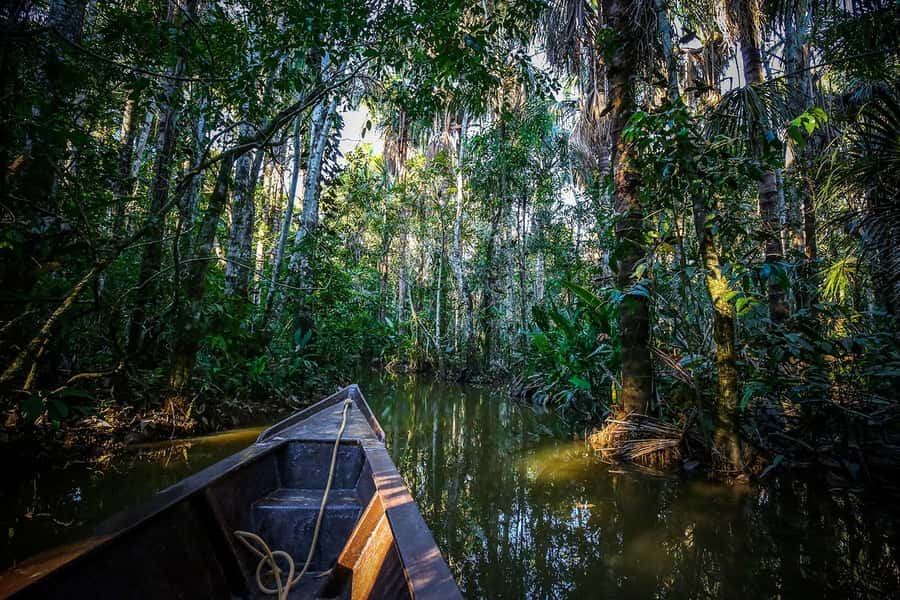 Iquitos: Full Day Tour in the Jungle | Amazon Safari - Monkey Island and the limits of the encounter