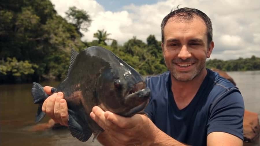 Iquitos: Piranha Fishing Experience in the Amazon jungle - Five things to know before you go
