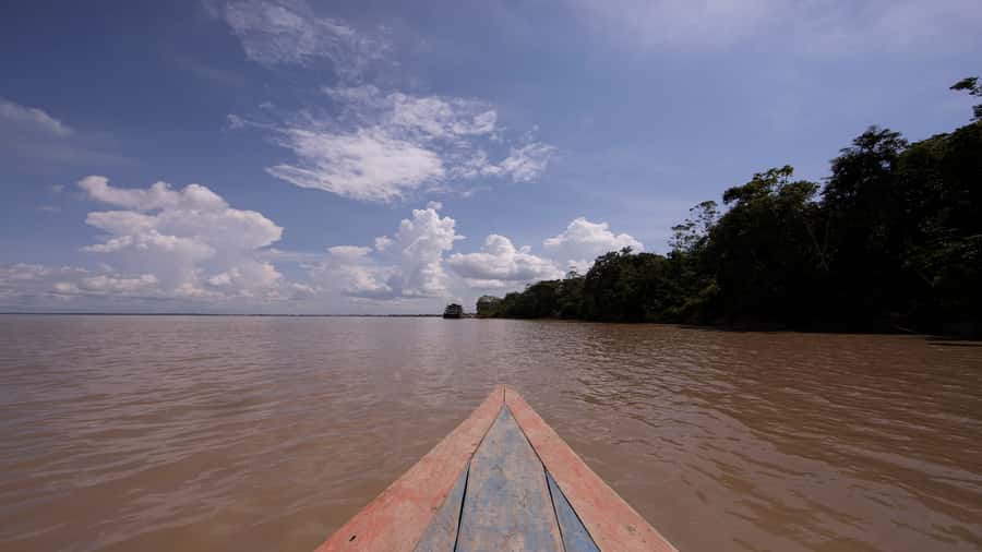Iquitos: Piranha Fishing Experience in the Amazon jungle - Why the guide matters more than fancy equipment