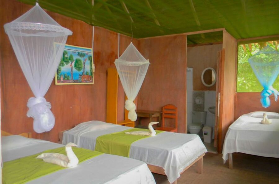 Iquitos to the Amazon: 2-Day Jungle & Wildlife Experience - The long return to Iquitos