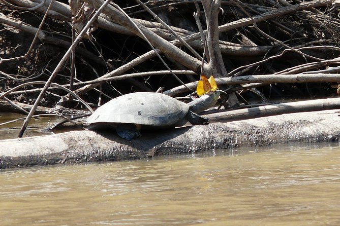 Jungle Eco Jungle And Adventure - 4 Days / 3 Nights - Reaching Tambopata from Puerto Maldonado