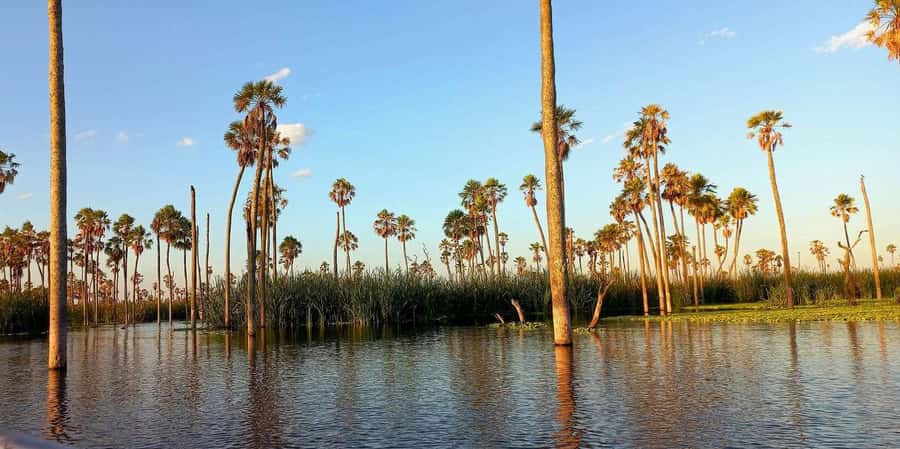 Lake Yacumama - Sunrise or Sunset - Key points to know before you book