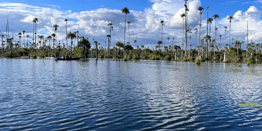 Lake Yacumama - Sunrise or Sunset - Paddling among aguaje palms