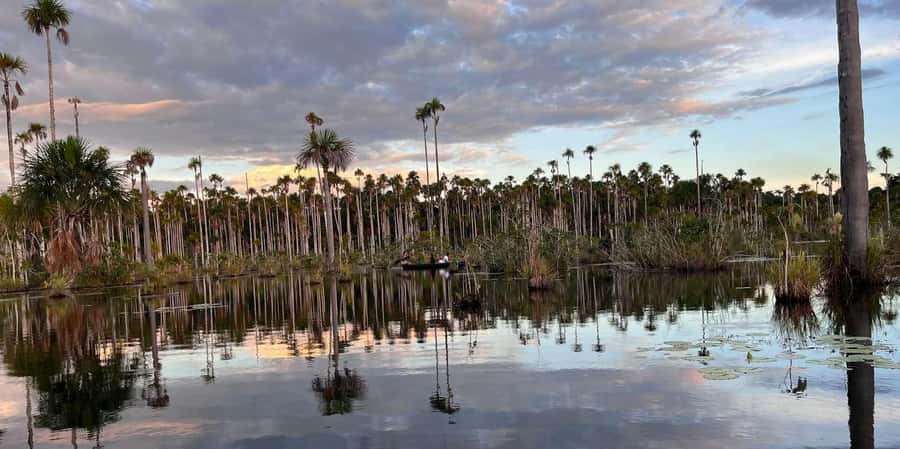 Lake Yacumama - Sunrise or Sunset - Reaching the canoe from Puerto Maldonado