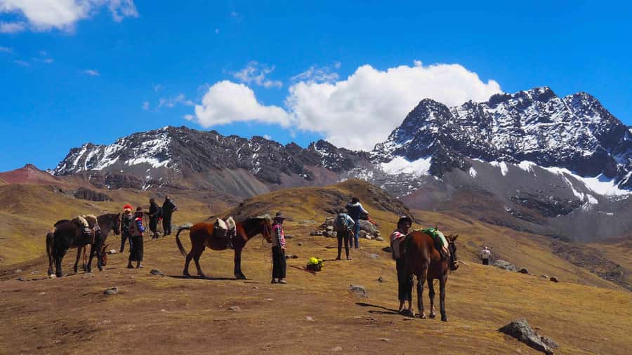Lima: 7-Day Inca Tour with Flights and Machu Picchu - Day 2: Ballestas Islands, Pisco, and Huacachina
