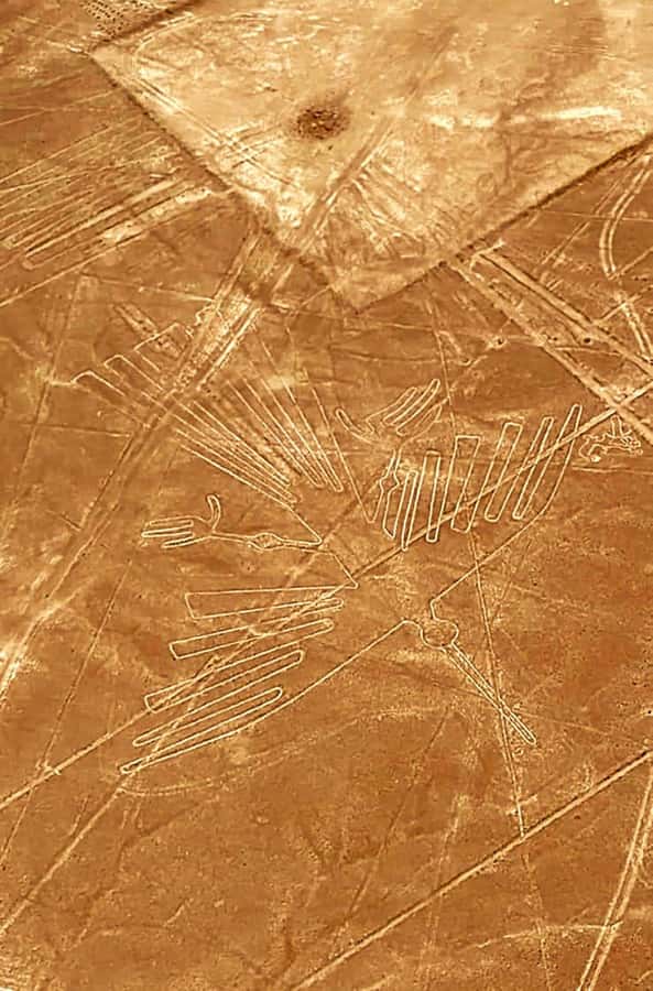 Lima and Nasca : Ballestas -Huacachina-Nasca Lines - Day 2: The Nasca Lines from the air