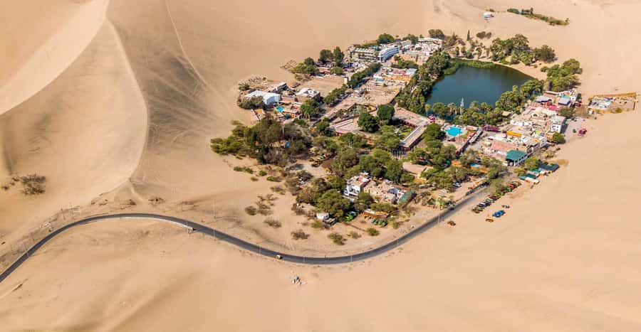 Lima: Ballestas & Huacachina Day Trip w/ Nazca Lines Flight - The Nazca Lines from above the Palpa Desert