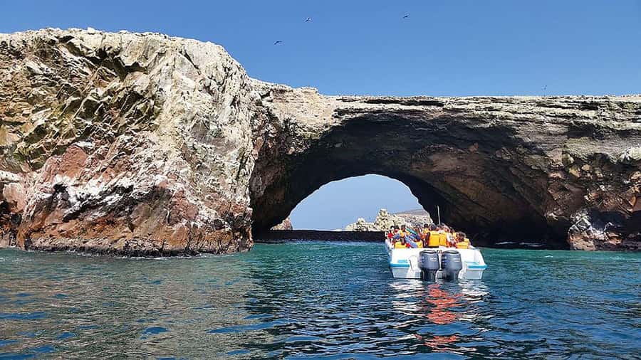 Lima: Ballestas & Huacachina Day Trip w/ Nazca Lines Flight - Ballestas Islands: wildlife from a fast boat