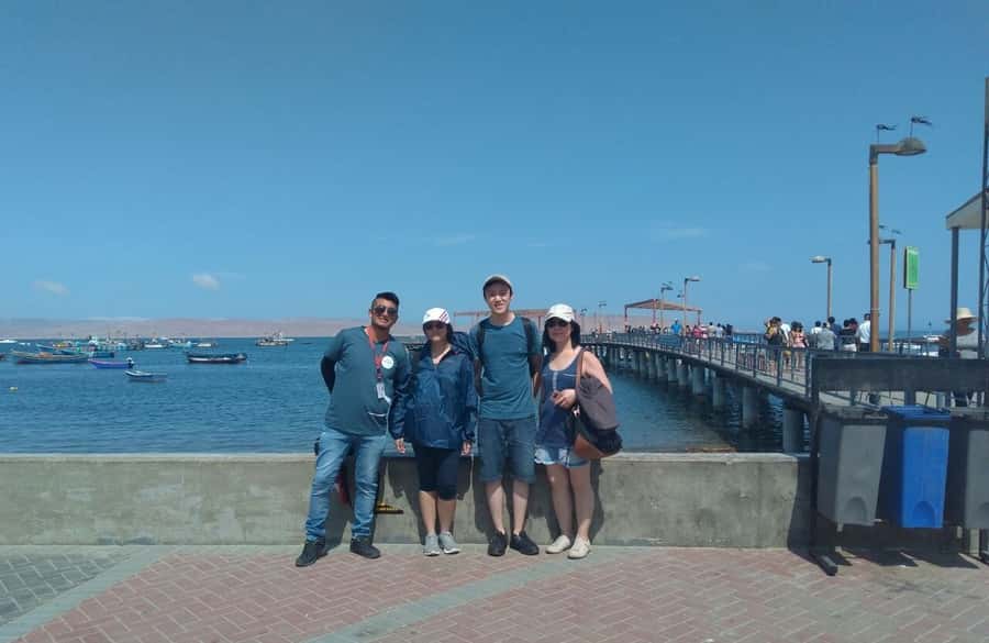 Lima: Ballestas Islands, Huacachina Oasis & Nazca Lines Tour - Ballestas Islands: wildlife from the water