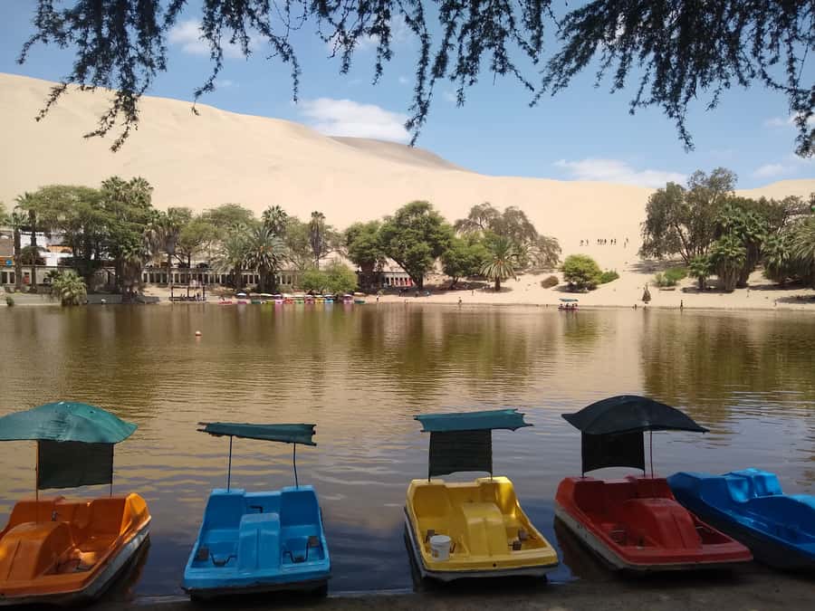 Lima: Ballestas Islands, Huacachina Oasis & Nazca Lines Tour - Lunch is on your own