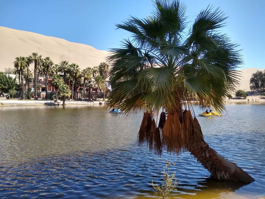 Lima: Ballestas Islands, Huacachina Oasis & Nazca Lines Tour - Is $625 a fair price?