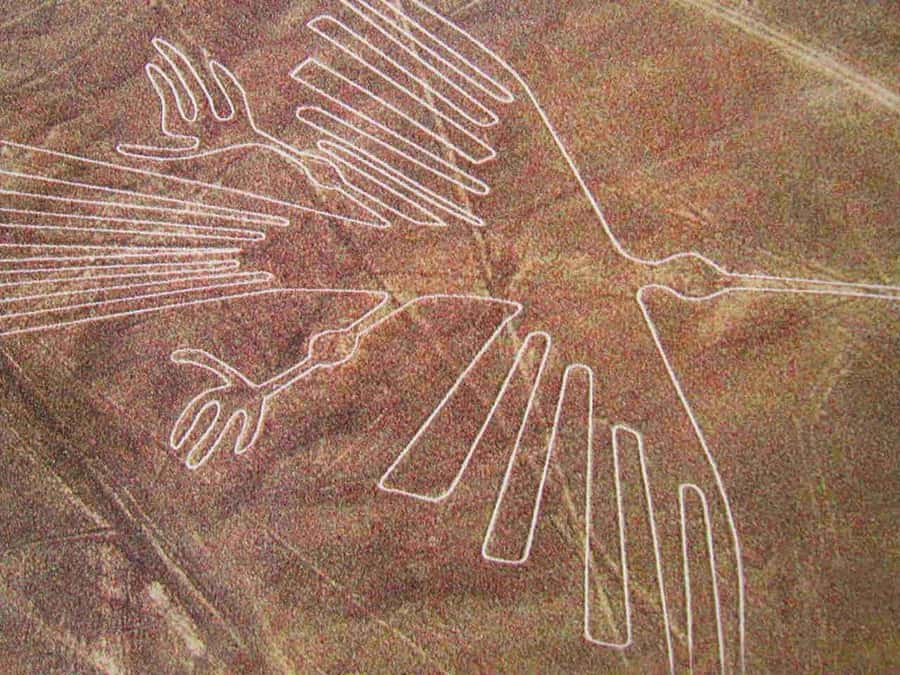 Lima: Ballestas Islands, Huacachina Oasis & Nazca Lines Tour - Before sunrise, the road to Paracas