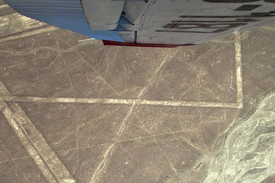 Lima: Ballestas Islands, Winery and Nazca Lines Private Tour - Why this 14-hour Lima day trip makes sense