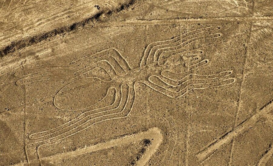 Lima: Ballestas Islands, Winery and Nazca Lines Private Tour - Crossing Paracas National Reserve