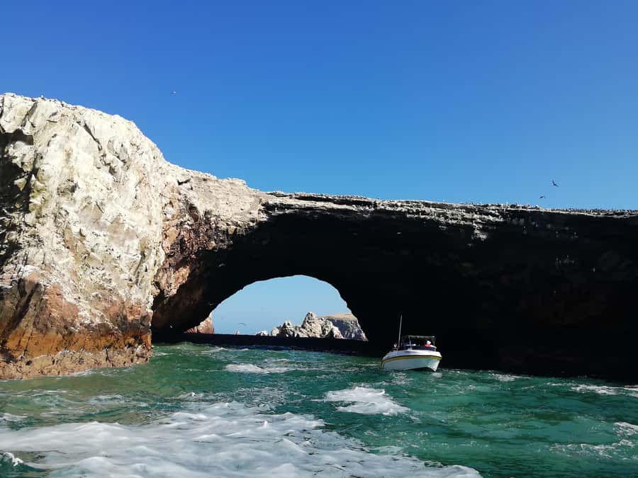 Lima: Ballestas Islands, Winery and Nazca Lines Private Tour - Lunch in Paracas, with a choice of local flavors