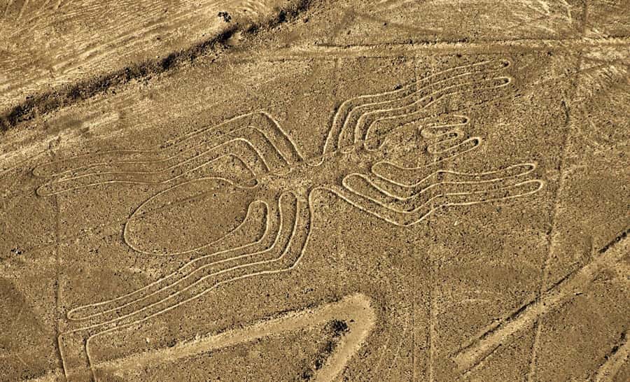 Lima: Ballestas Islands, Winery and Nazca Lines Private Tour - Wine and pisco in Chincha Alta