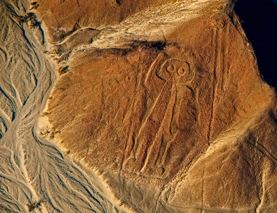 Lima: Ballestas Islands, Winery and Nazca Lines Private Tour - The private guide is part of the value