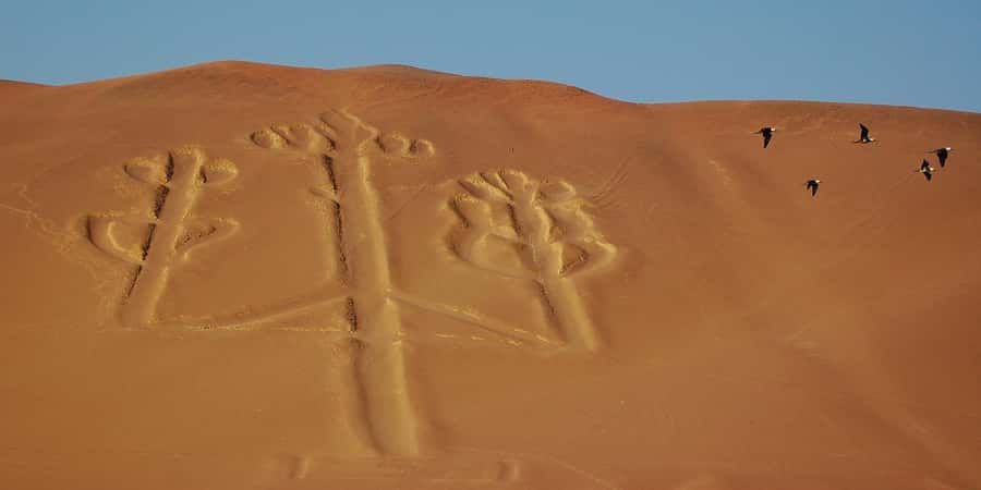 Lima: Ballestas Islands, Winery and Nazca Lines Private Tour - Leaving Lima before sunrise