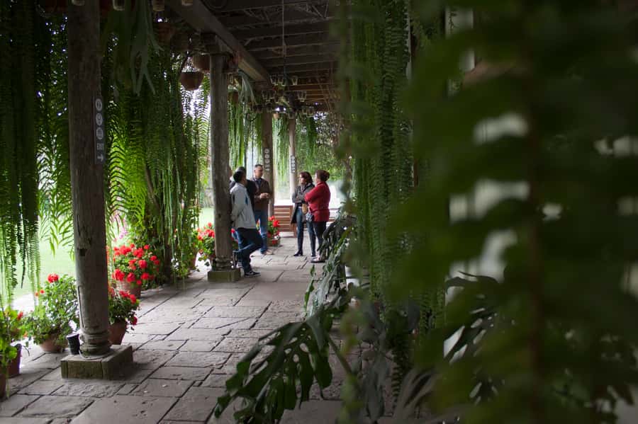 Lima: Half-Day Colonial Lima and Larco Museum Tour - The guide can make or break the short schedule