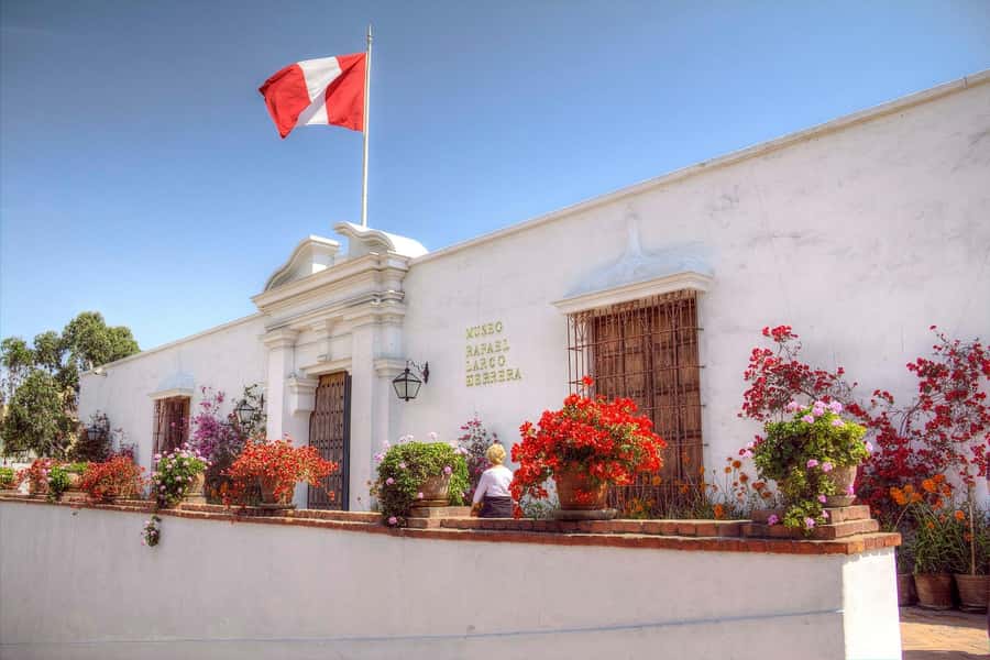 Lima: Half-Day Private Lima City Tour and Larco Museum - Food, comfort, and what to bring