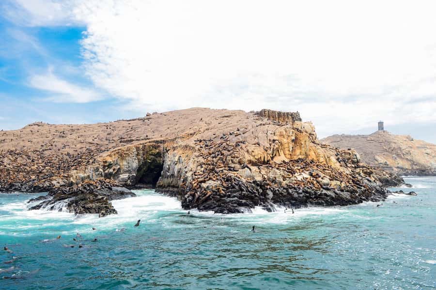 Lima | Islas Palomino Tour | Swim with Sea Lions - The return route through cliffs and islets