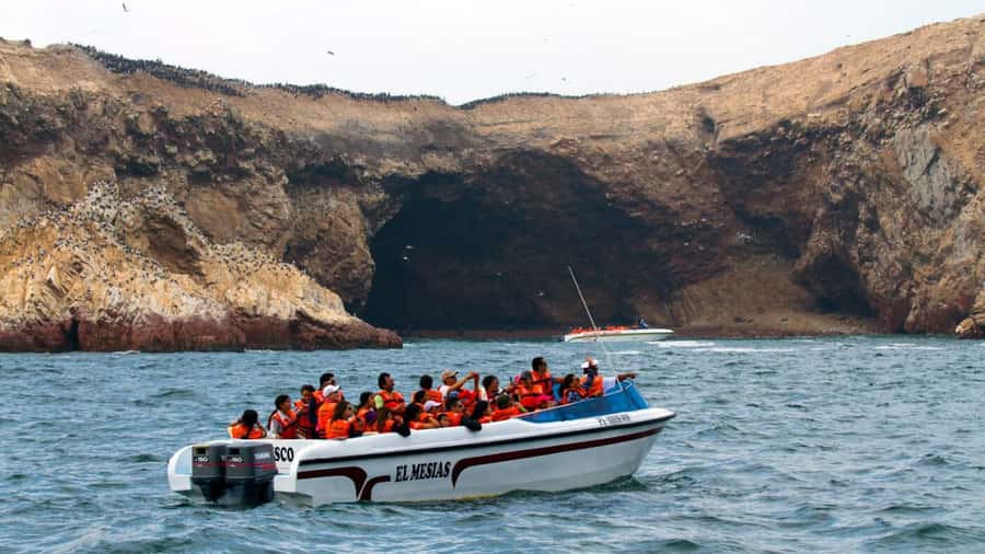 Lima | Islas Palomino Tour | Swim with Sea Lions - Making a day of La Punta and Callao