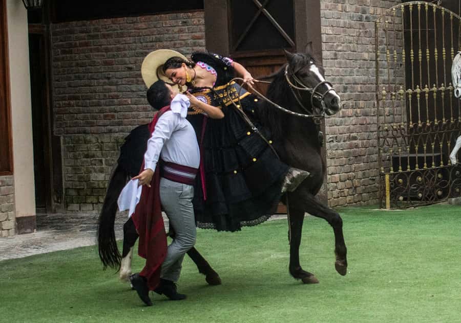 Lima: Magic Water Circuit and Dinner Show Tickets - The Peruvian Paso horse presentation