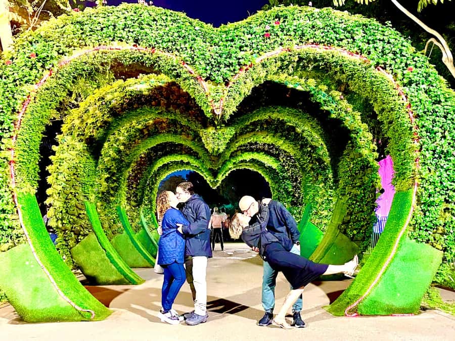 Lima: Magic Water Circuit Light Show Tour with Pickup - Why Lima’s fountain park makes a good evening stop