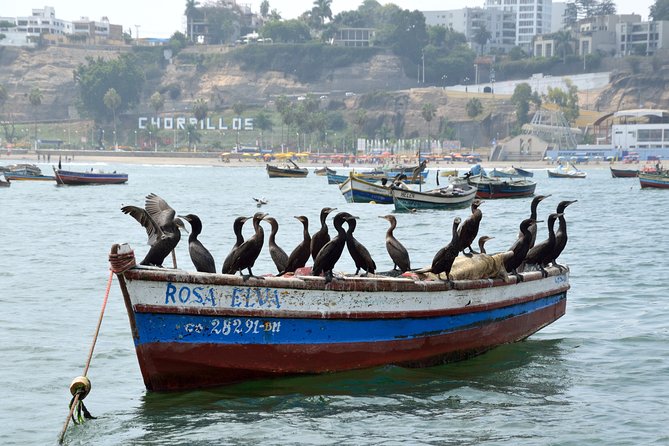 Lima Off the Beaten Path: Local Communities and Cultural Immersion - Community projects, artisans, and practical hope