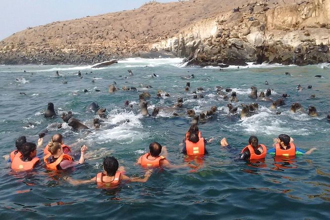 Lima: Palomino Islands Excursion & Swimming with Sea Lions with Hotel Transfers - Group Size and the Feel of the Morning