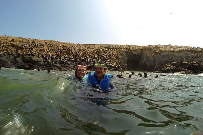 Lima: Palomino Islands Excursion & Swimming with Sea Lions with Hotel Transfers - Birdlife, Penguins, and the Other Stars of the Pacific