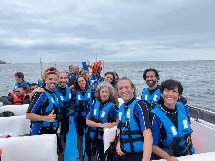 Lima: Palomino Islands Speedboat Tour & Swim with Sea Lions - Why this half-day trip is worth your time in Lima