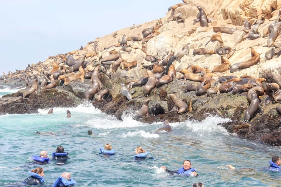 Lima: Palomino Islands Speedboat Tour & Swim with Sea Lions - Speedboat views around El Camotal and San Lorenzo Island