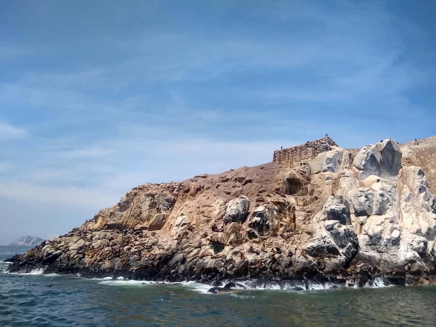 Lima: Palomino Islands Speedboat Tour & Swim with Sea Lions - What the $125 price really covers