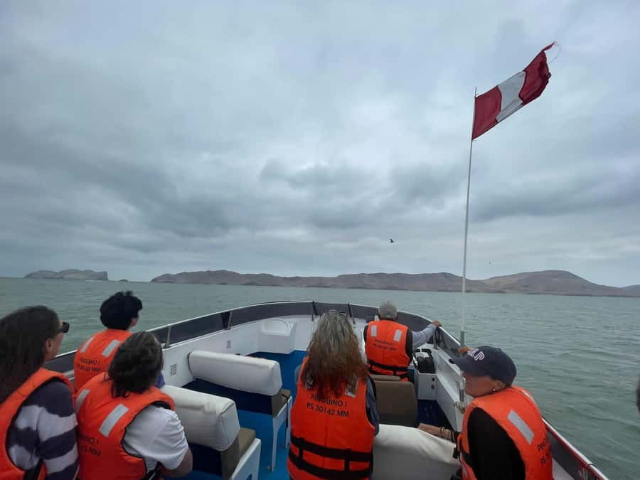 Lima: Palomino Islands Speedboat Tour & Swim with Sea Lions - Who will enjoy this Lima excursion most