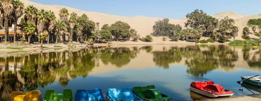 Lima: Paracas and the Huacachina Oasis Guided Day Tour - What the guides and drivers add