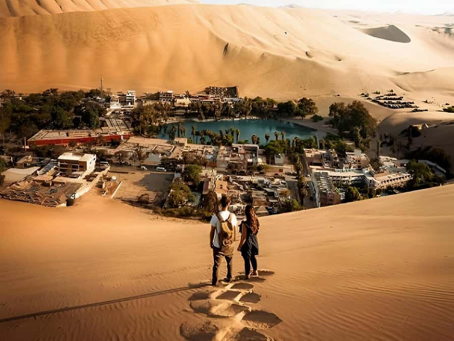 Lima: Paracas & Huacachina Oasis Day Trip with Wine & Dunes - Why this Paracas and Huacachina day trip works