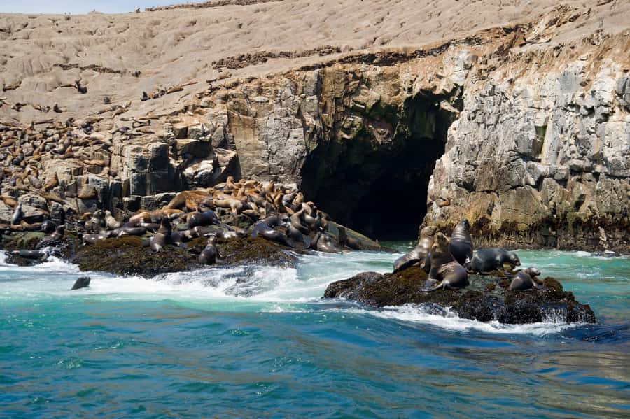 Lima: Sea Lion Swim and Wildlife Palomino Islands Cruise - Cruising past San Lorenzo Island
