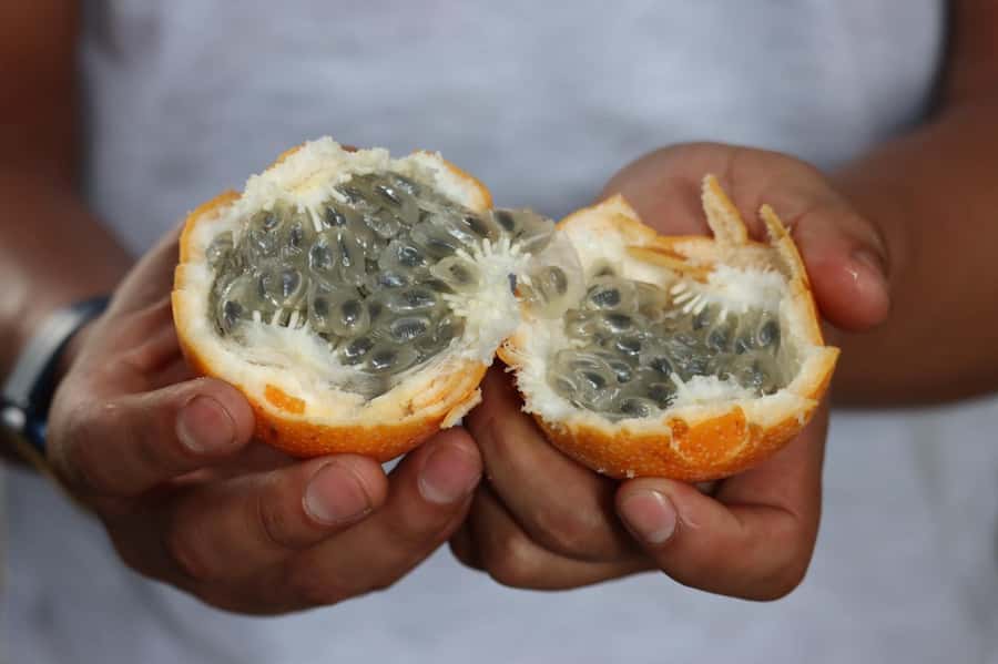 Lima: Shanty Town Exploration - Fresh fruit and local life at the market
