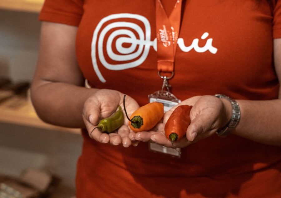 Lima: Ultimate Peruvian Food Tour - Barranco Sightseeing Between Courses